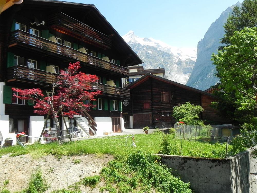 Tschuggen Apartment - No Kitchen Grindelwald Exterior photo