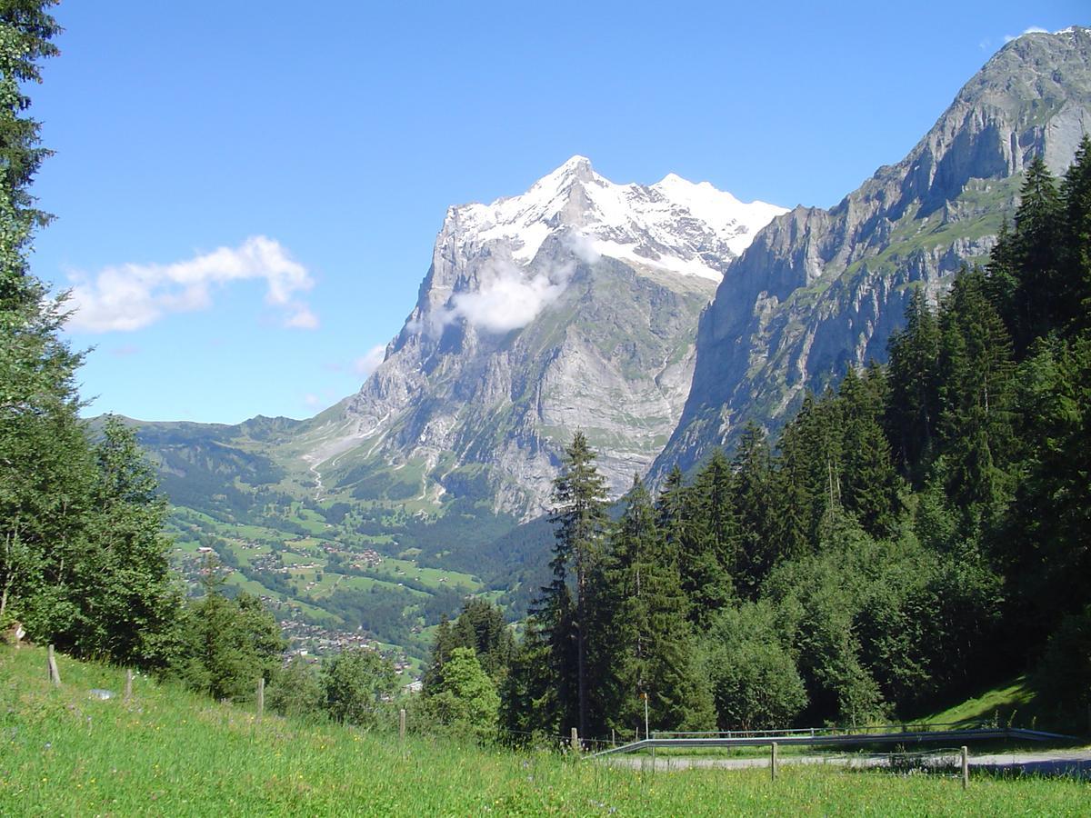 Tschuggen Apartment - No Kitchen Grindelwald Exterior photo