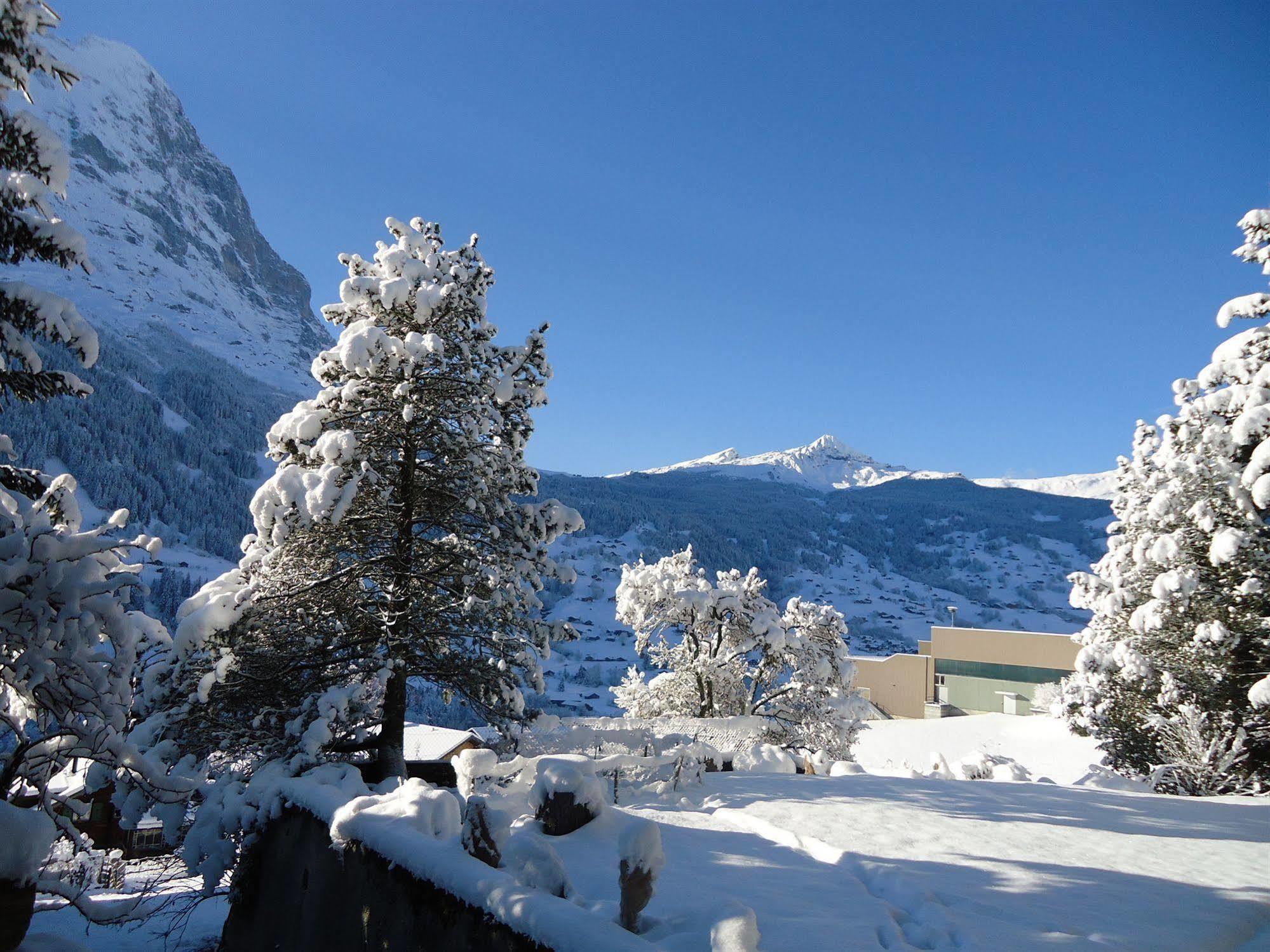 Tschuggen Apartment - No Kitchen Grindelwald Exterior photo